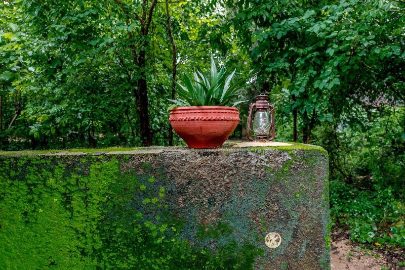 リゾートホテル Mahua Vann Pench