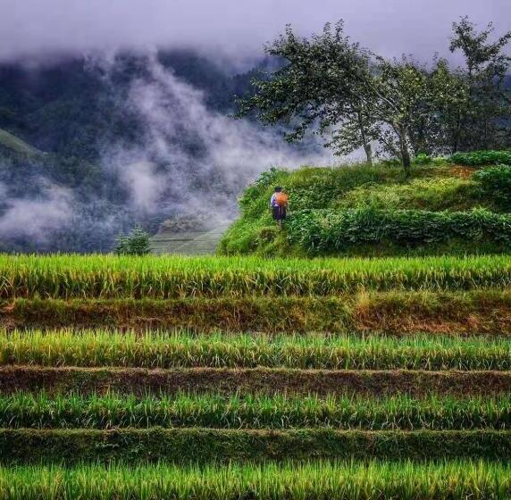 Отель Longji Terrace La Vie Inn