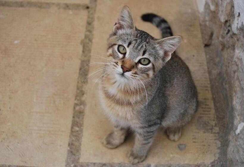 فندق Tenuta Serre