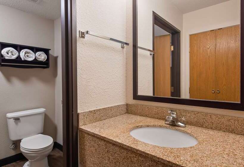 هتل Best Western Plus Newark/christiana Inn