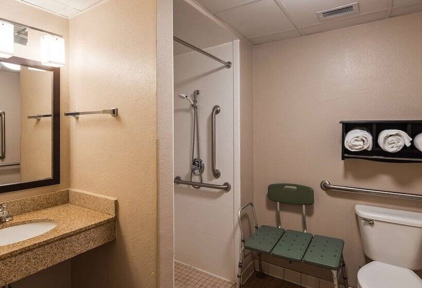 هتل Best Western Plus Newark/christiana Inn