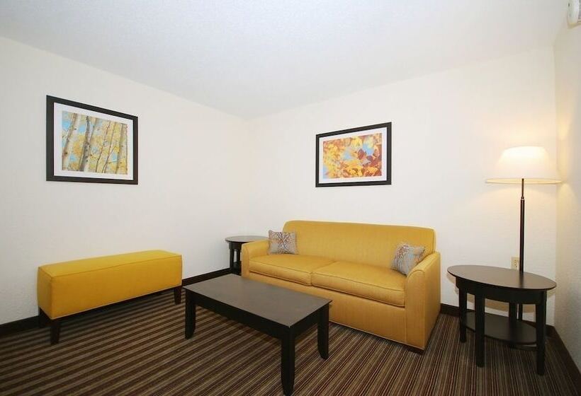 هتل Best Western Plus Newark/christiana Inn