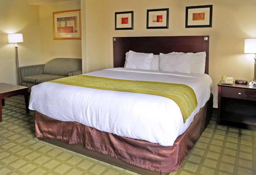 هتل Comfort Inn Southwest Fwy At Westpark