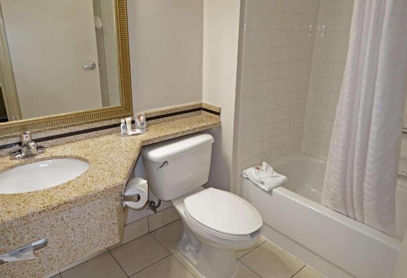 هتل Comfort Inn Southwest Fwy At Westpark