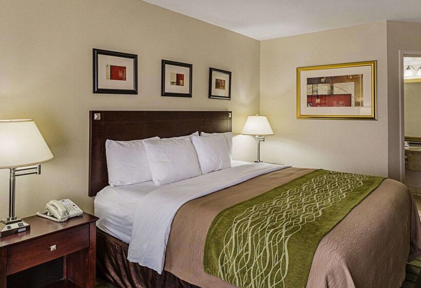 هتل Comfort Inn Southwest Fwy At Westpark