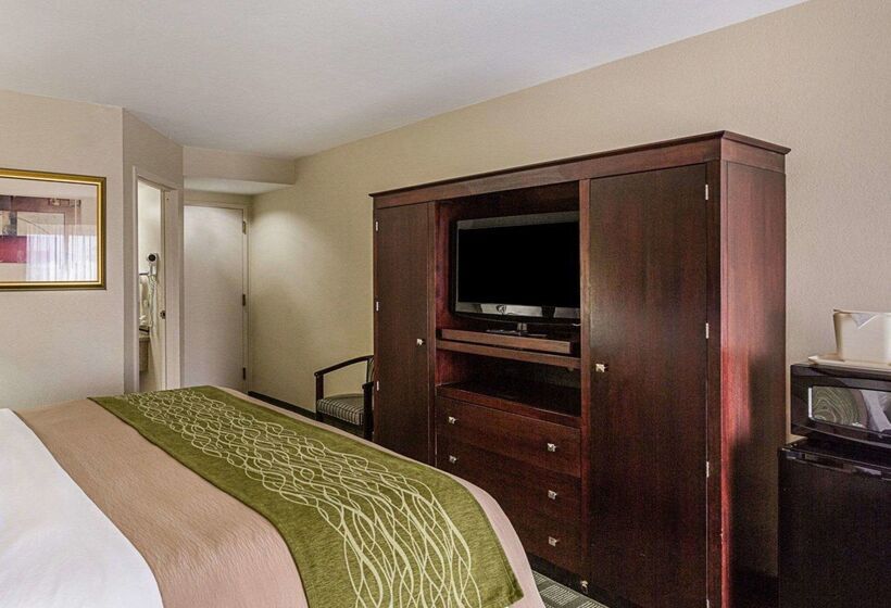 هتل Comfort Inn Southwest Fwy At Westpark