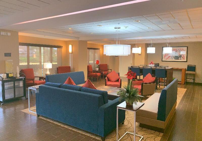 هتل Comfort Inn Southwest Fwy At Westpark