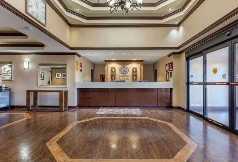 酒店 Comfort Suites