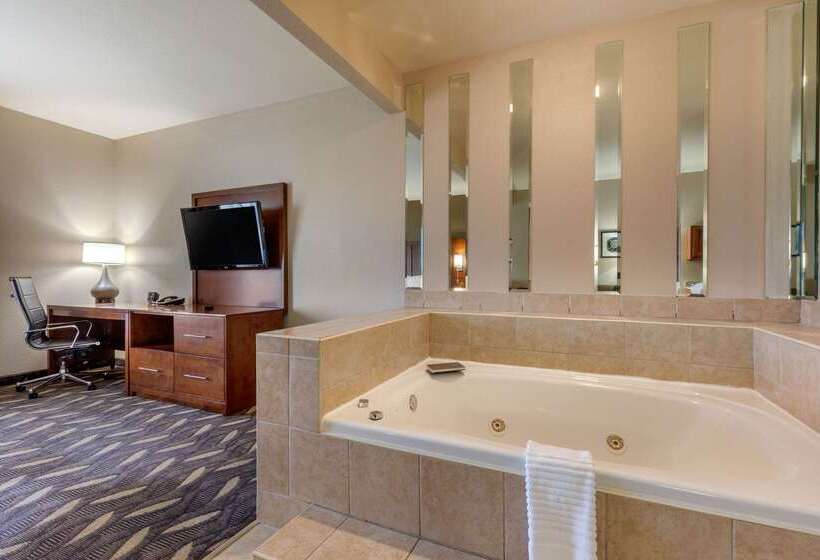 酒店 Comfort Suites