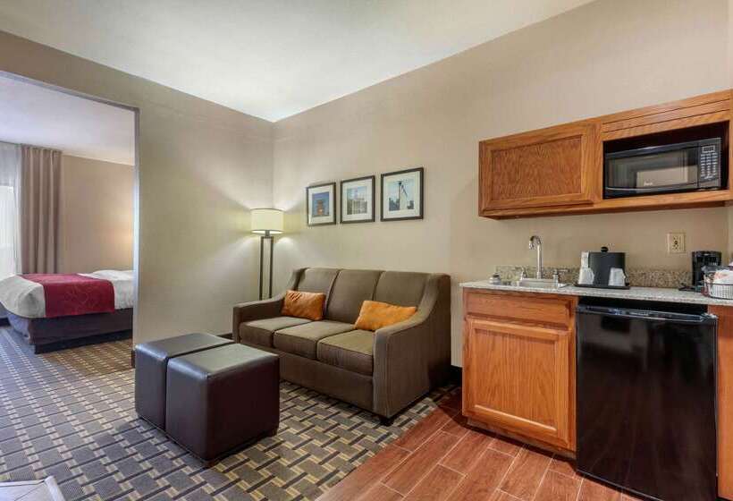 酒店 Comfort Suites