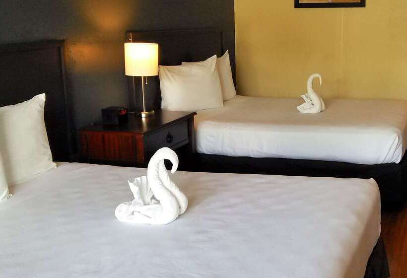 فندق Econo Lodge
