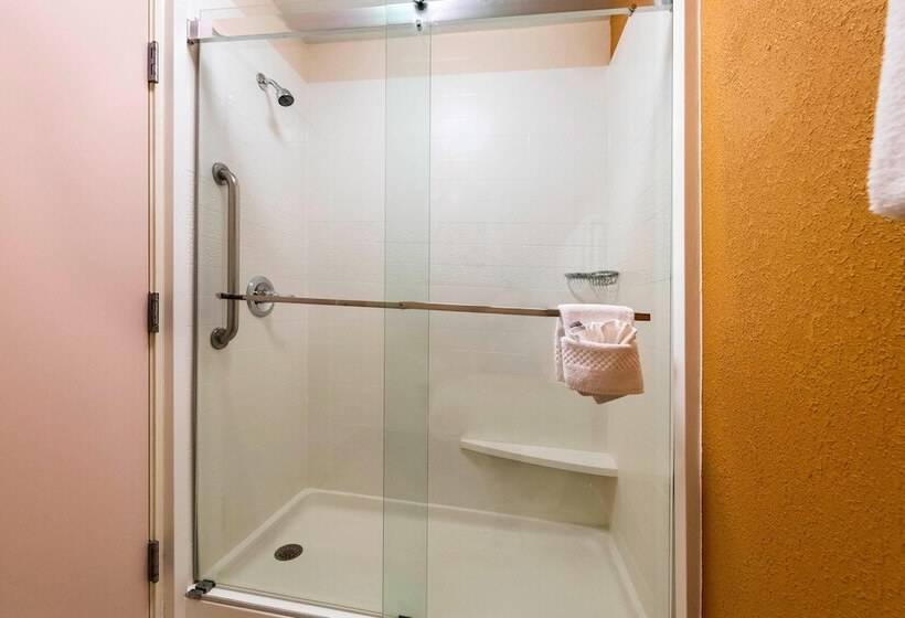 בית מלון כפרי Fairfield Inn And Suites St Petersburg Clearwater