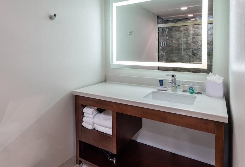 هتل Four Points By Sheraton Atlanta Airport West