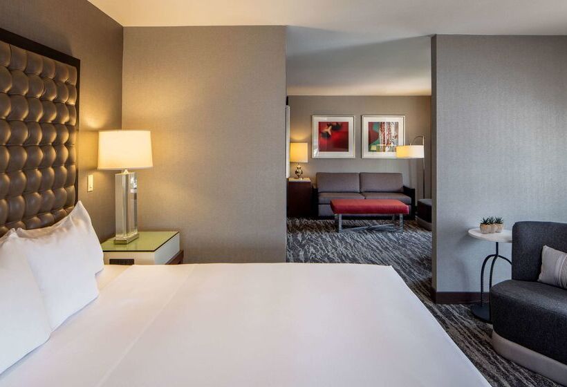 فندق Hyatt Regency Saint Louis At The Arch