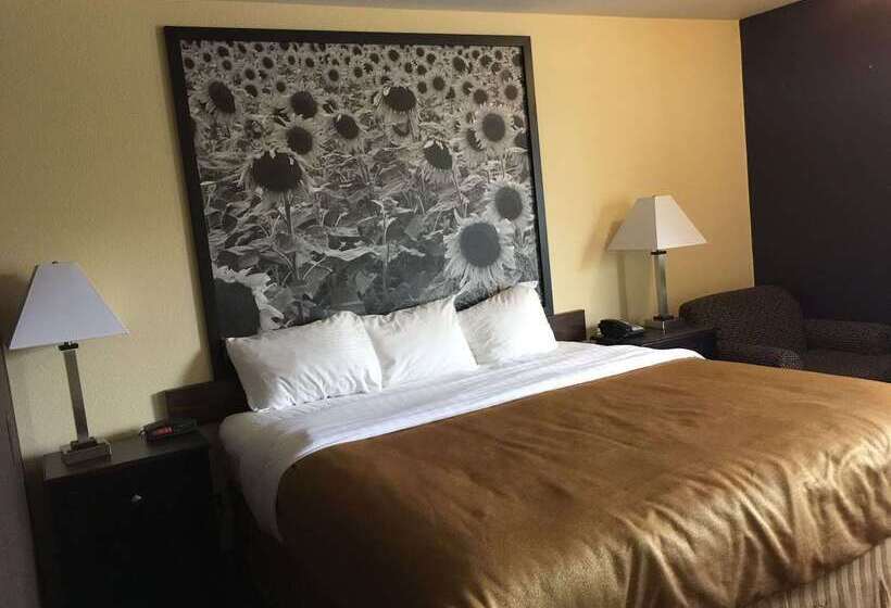 هتل Super 8 By Wyndham Des Moines
