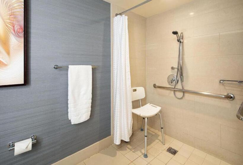 فندق The Westin Carlsbad Resort & Spa