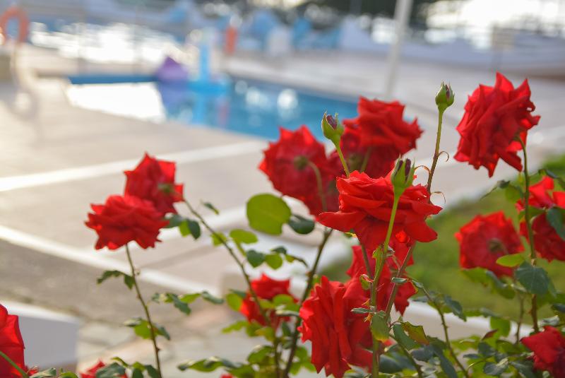 فندق Akoya Resort  All Inclusive