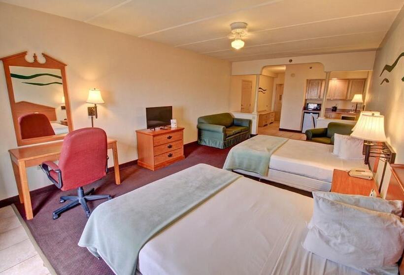 בית מלון כפרי The Inn At South Padre