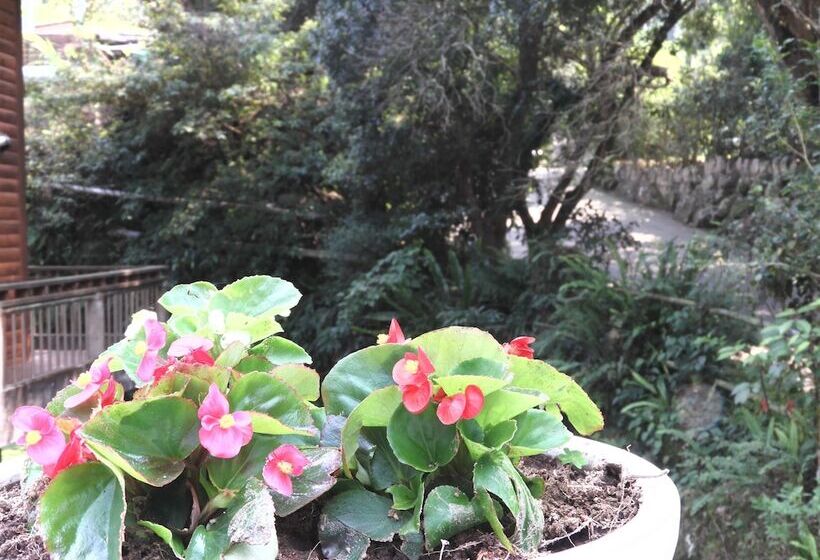 هتل Hsinchu Bali Forest Hot Spring Resort