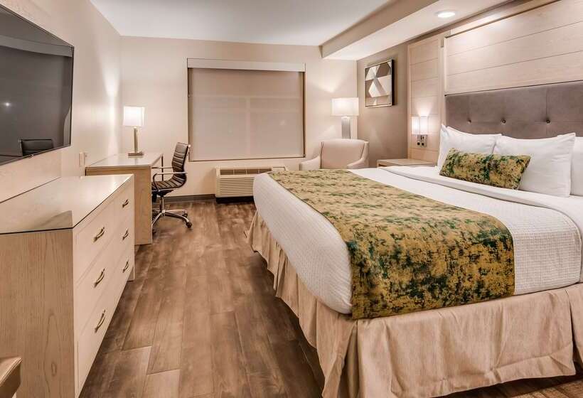 酒店 Best Western Premier I95 Savannah Airport/ Pooler West