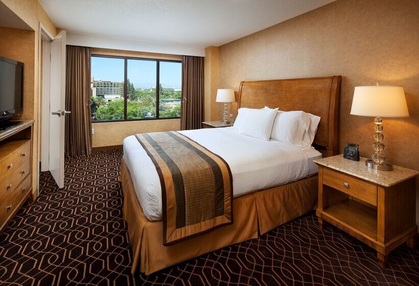 ホテル Doubletree Suites By Hilton Anaheim Rsrt   Conv Cntr