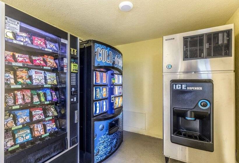 בית מלון כפרי Quality Inn Palm Beach International Airport
