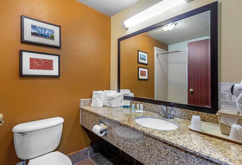 هتل Quality Suites Addisondallas