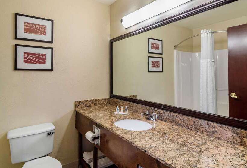 호텔 Comfort Inn & Suites Suwanee  Sugarloaf