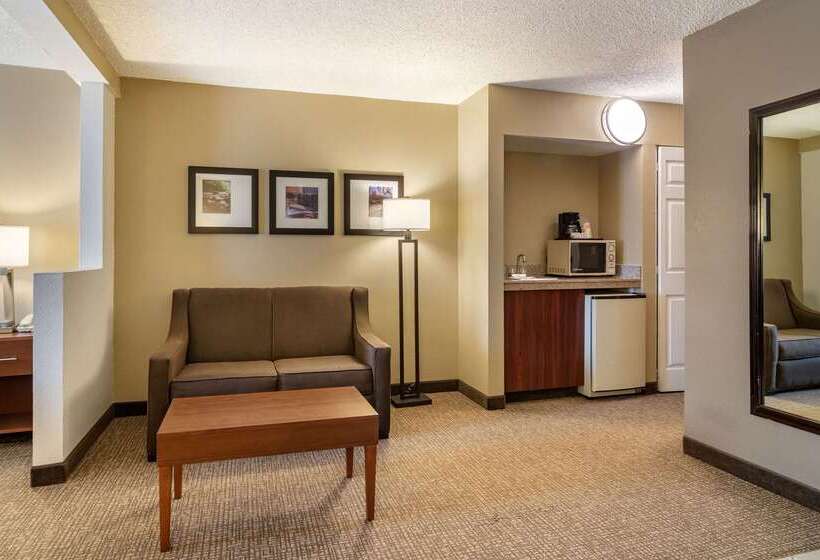 호텔 Comfort Inn & Suites Suwanee  Sugarloaf
