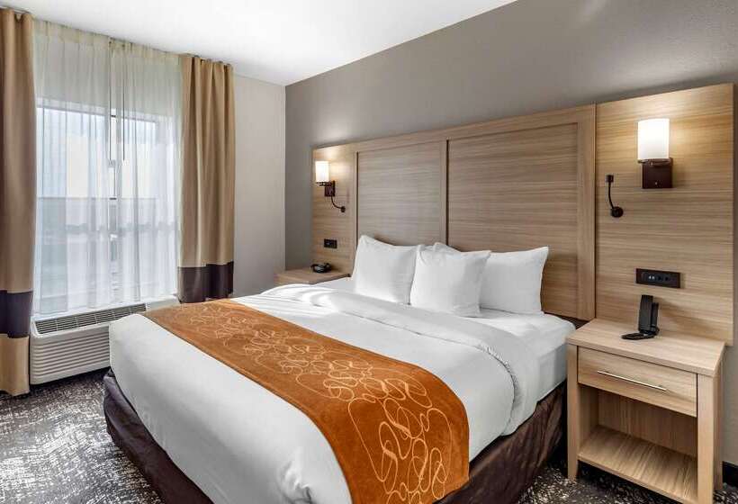 فندق Comfort Suites Anderson Clemson
