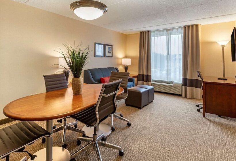 فندق Comfort Suites Manassas Battlefield Park