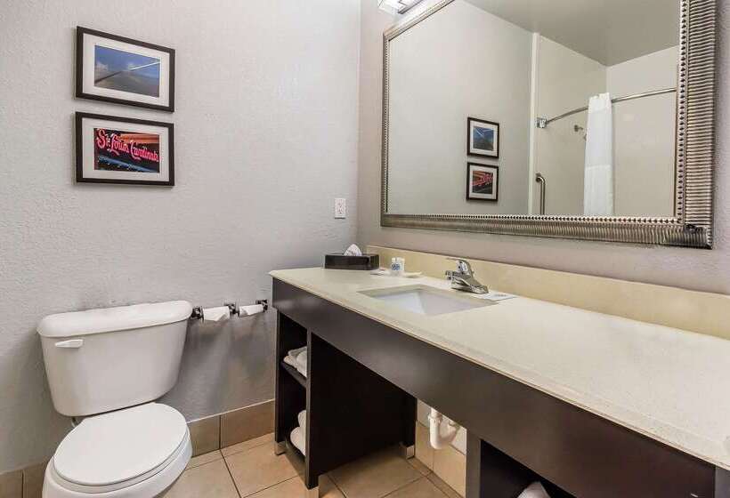בית מלון כפרי Comfort Suites St Charlesst Louis
