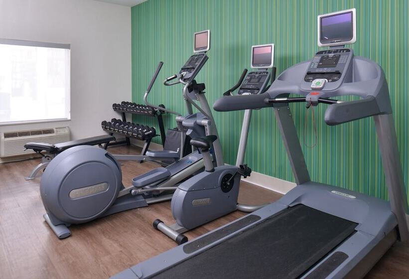 בית מלון כפרי Holiday Inn Express & Suites Corpus Christi N Padre Island, An Ihg