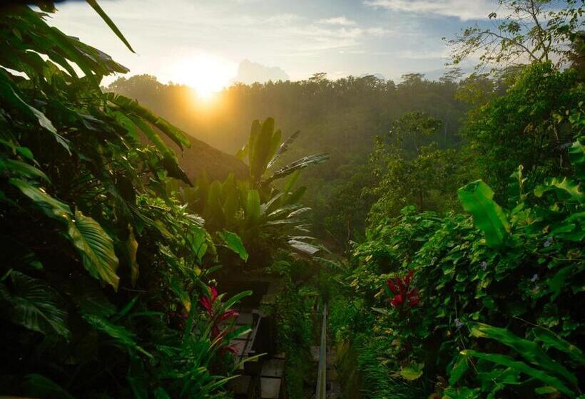 هتل Nandini Jungle By Hanging Gardens