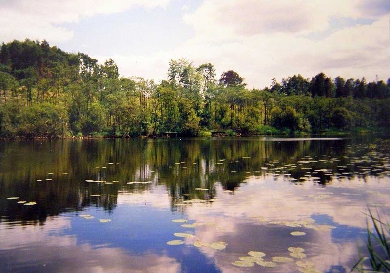 בית מלון כפרי Riverside Farmhouse