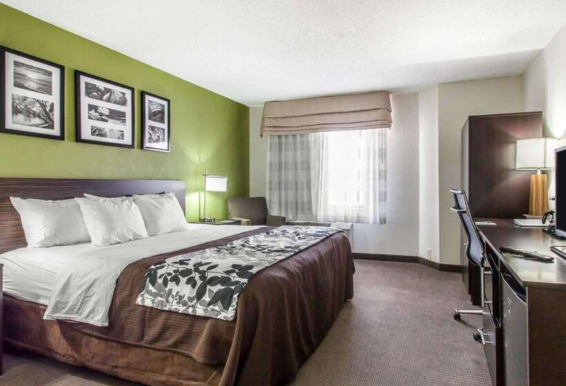 酒店 Sleep Inn & Suites Near I 90 And Ashtabula