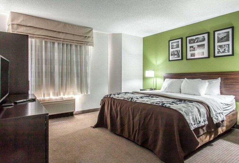 酒店 Sleep Inn & Suites Near I 90 And Ashtabula