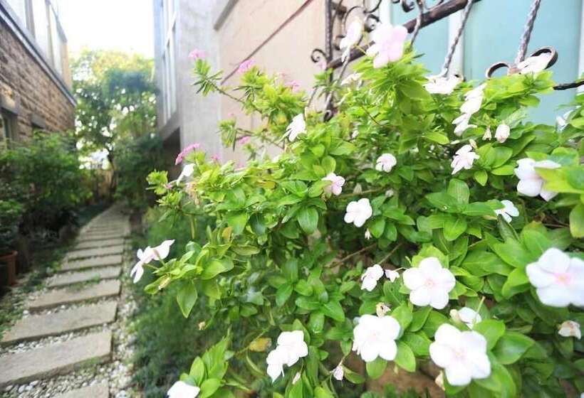 هتل Dan Dan House