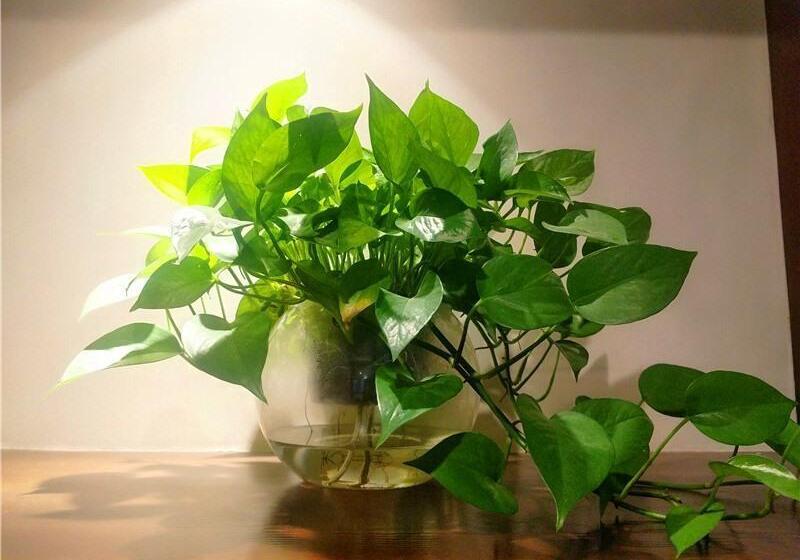 Hotel Greentree Inn Jiaxing Haiyan County Passenger Depot Branch