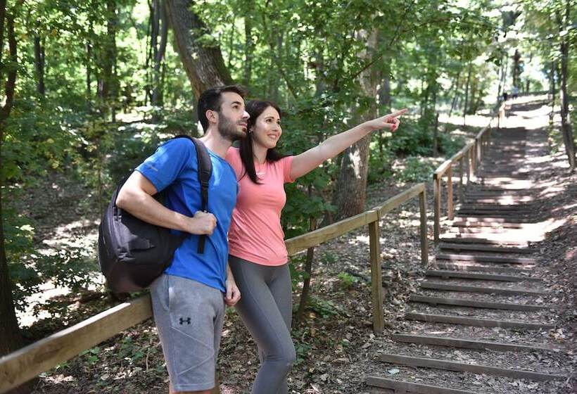 هتل Movenpick Resort And Spa Fruske Terme