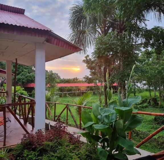فندق صغير Milia Amazon Lodge
