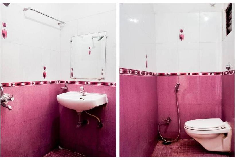 Отель Oyo Rpr269 Shubham Palace