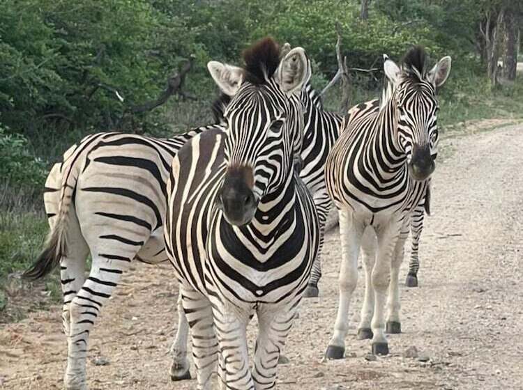 ペンション Hippomoon Lodge Game Reserve