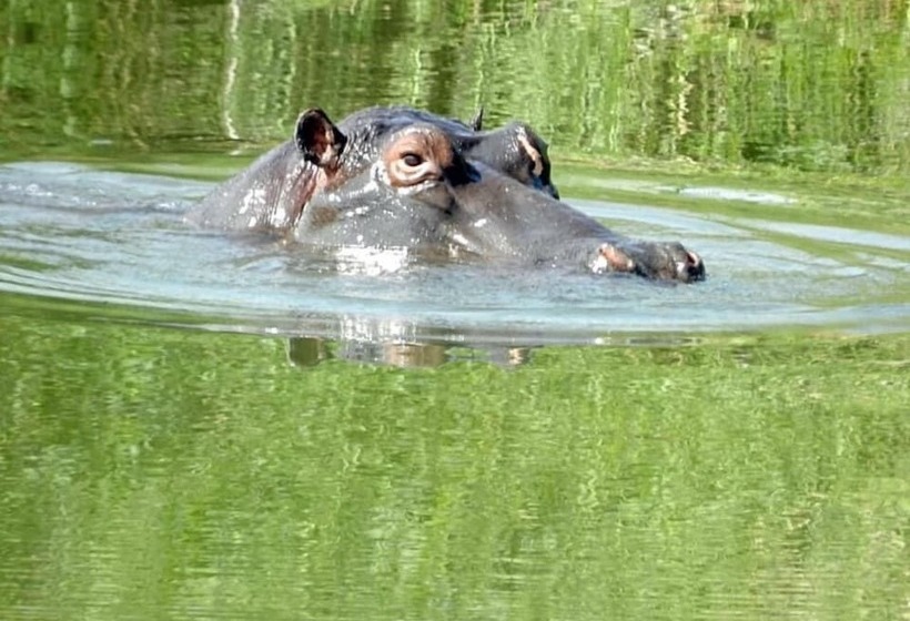 ペンション Hippomoon Lodge Game Reserve