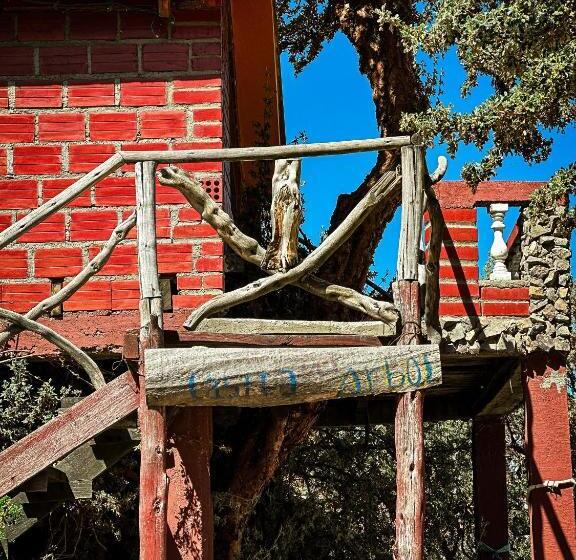 پانسیون Hostal Sol Y Lago