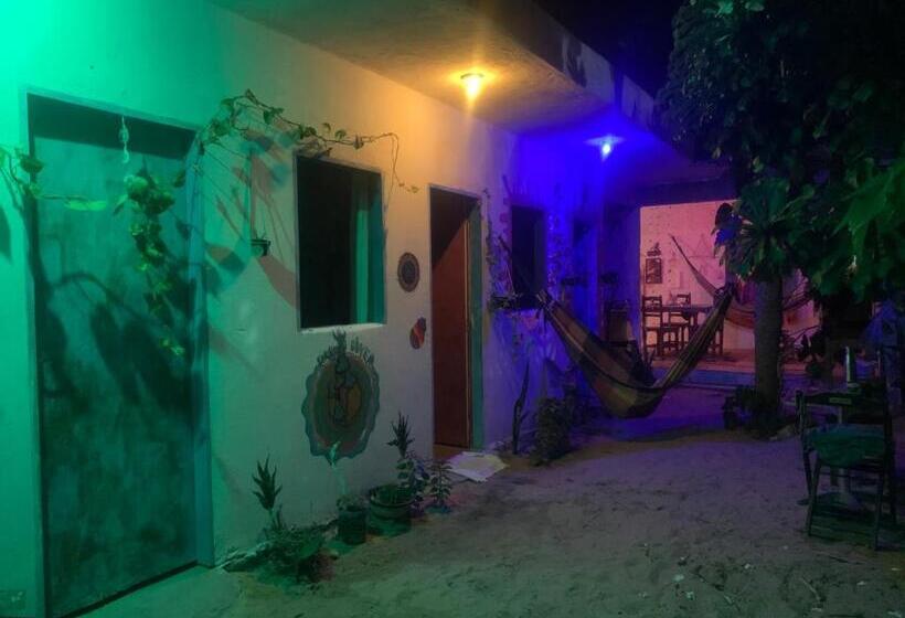 پانسیون Hostel Flor Da Vida