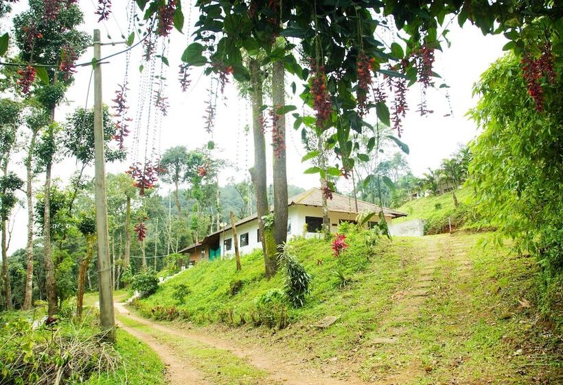 بنسيون Room In Cabin   The Nest Bettathur, Coorg Ct 003