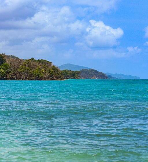 هاستل El Hongo Finca Hostal / Camping