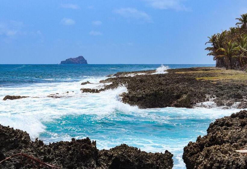 هاستل El Hongo Finca Hostal / Camping