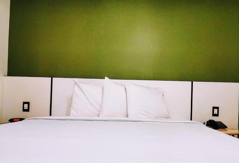 هاستل The Bell Vista